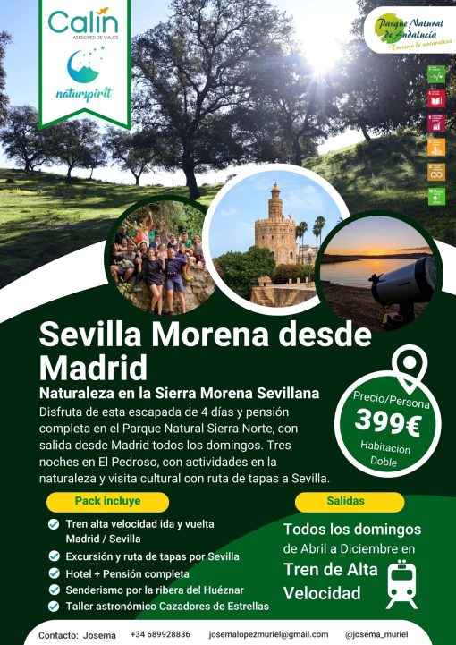 Viaje a Sevilla Morena desde Madrid 3 noches