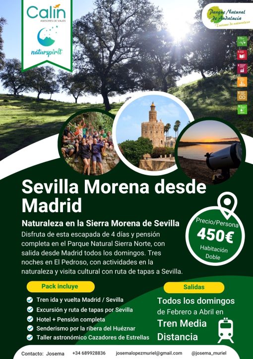 Viaje a Sevilla Morena desde Madrid